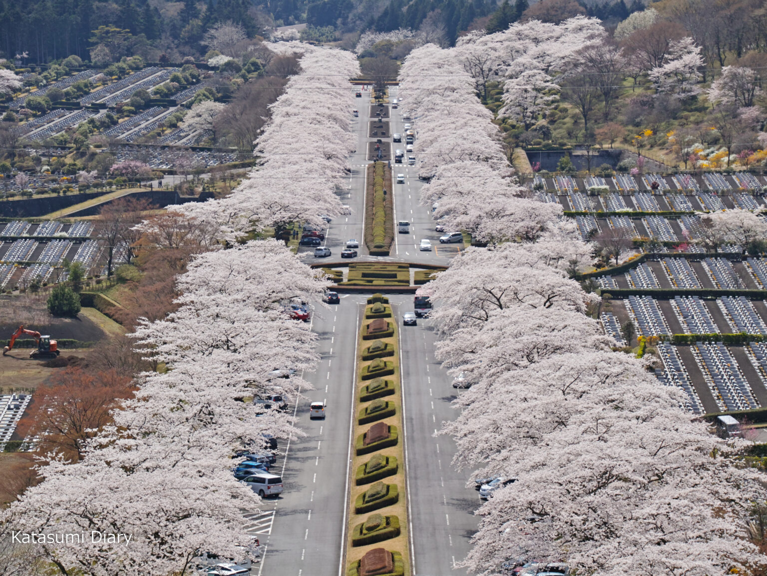 冨士霊園のつつじ園 桜の名所はツツジの名所 2024年見頃時期と開花状況、アクセスと駐車場 静岡県小山町 | カタスミ日記