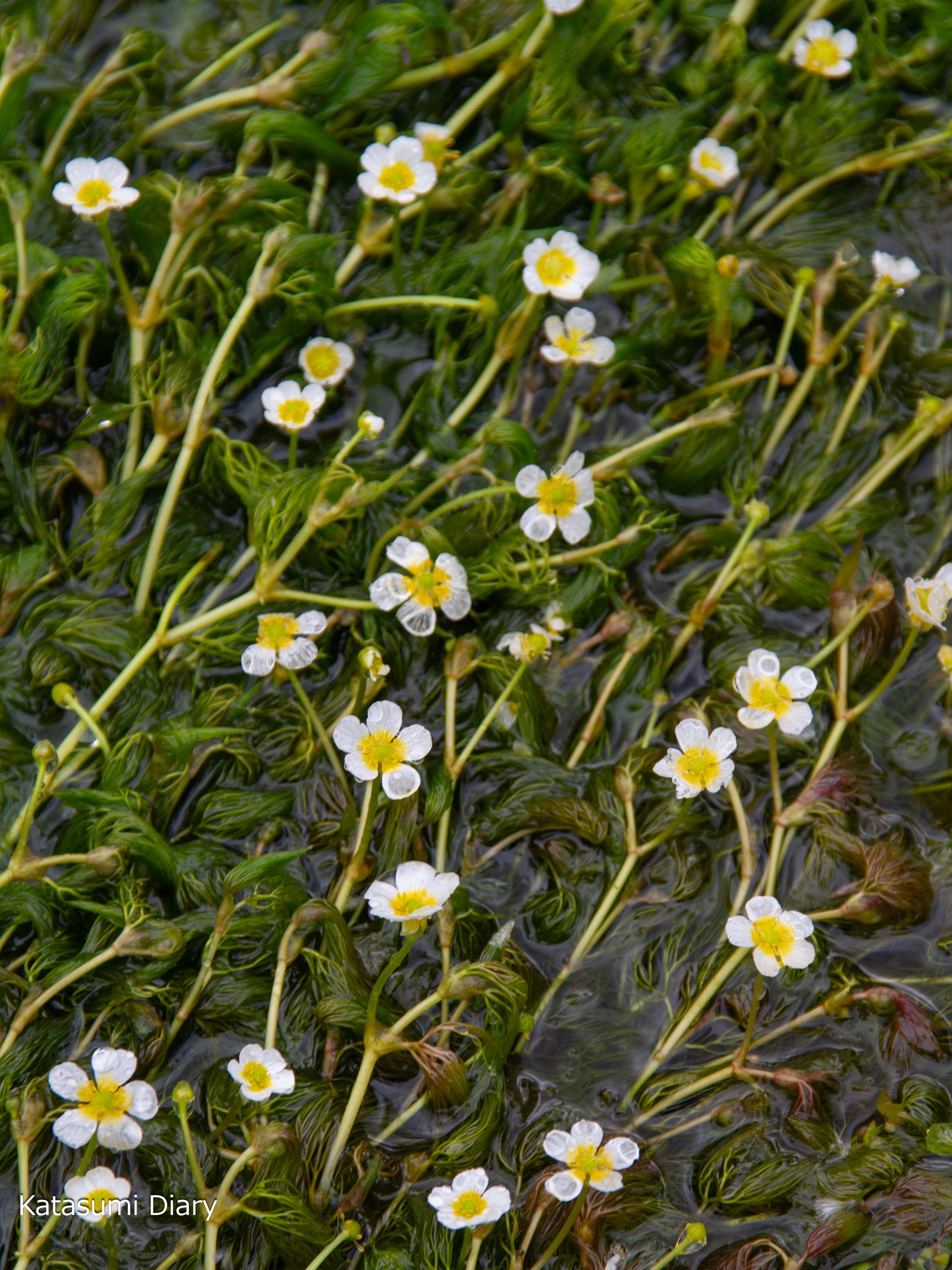Thumbnail of post image 126