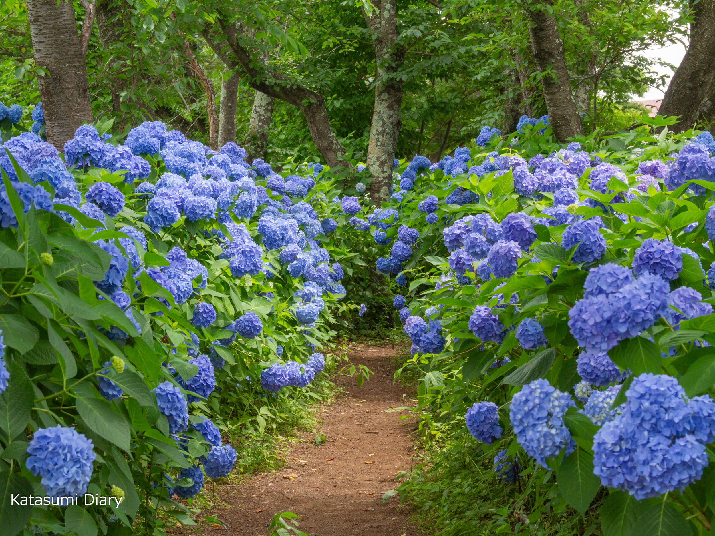Thumbnail of post image 148