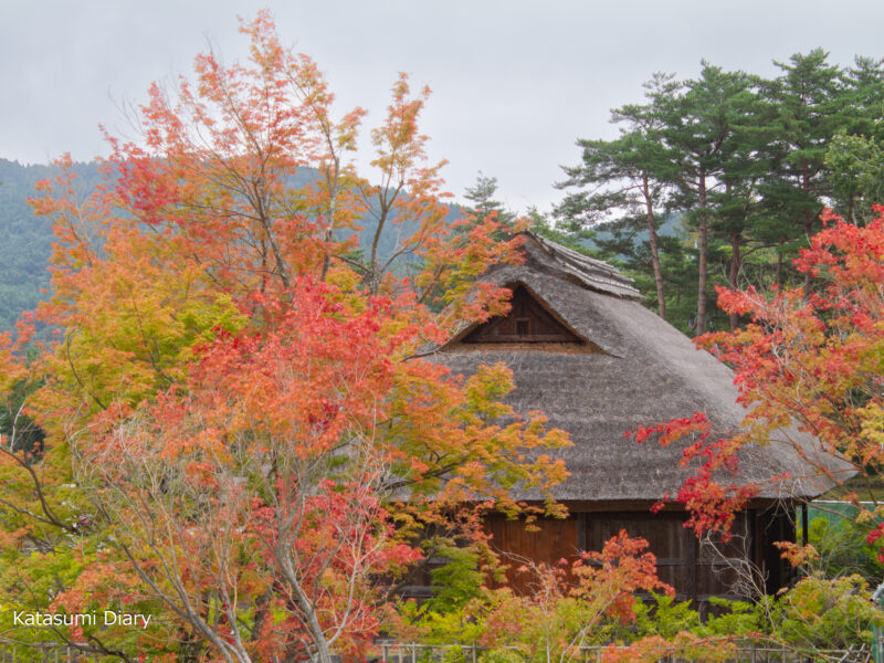 Thumbnail of related posts 114