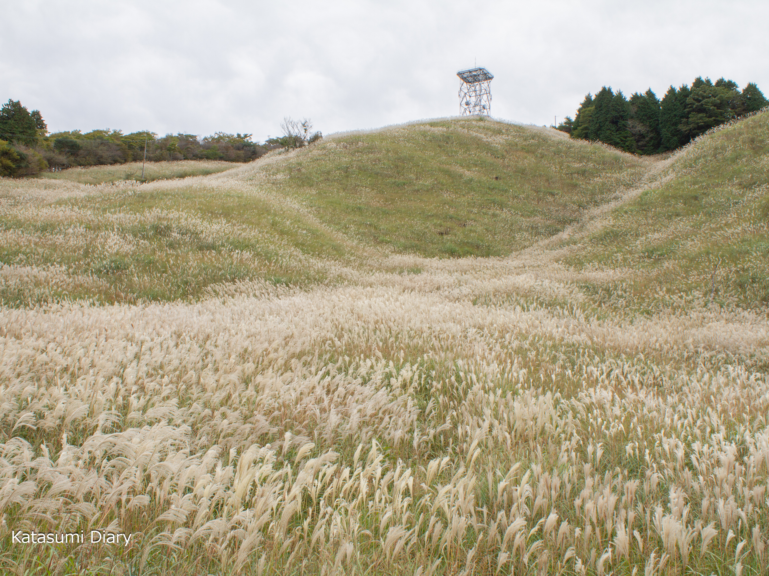 Thumbnail of post image 144