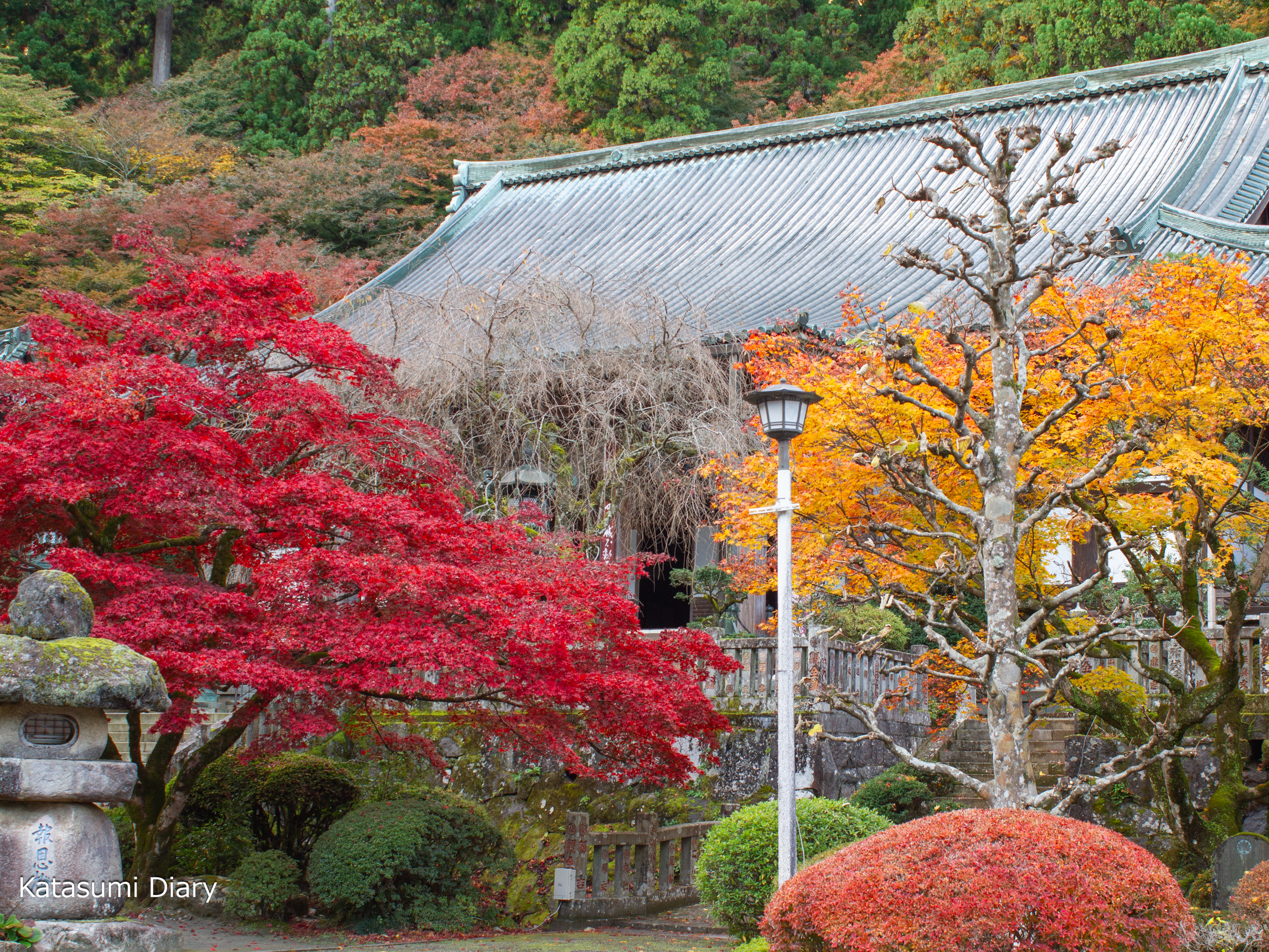 Thumbnail of post image 172