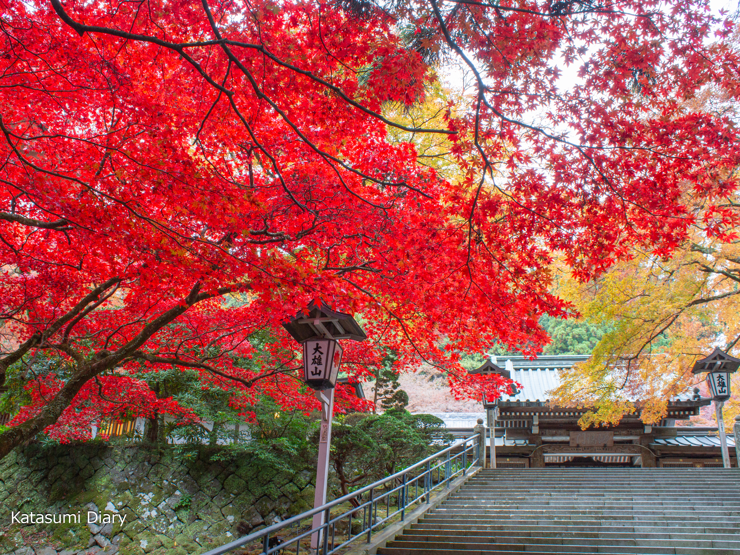 Thumbnail of post image 150