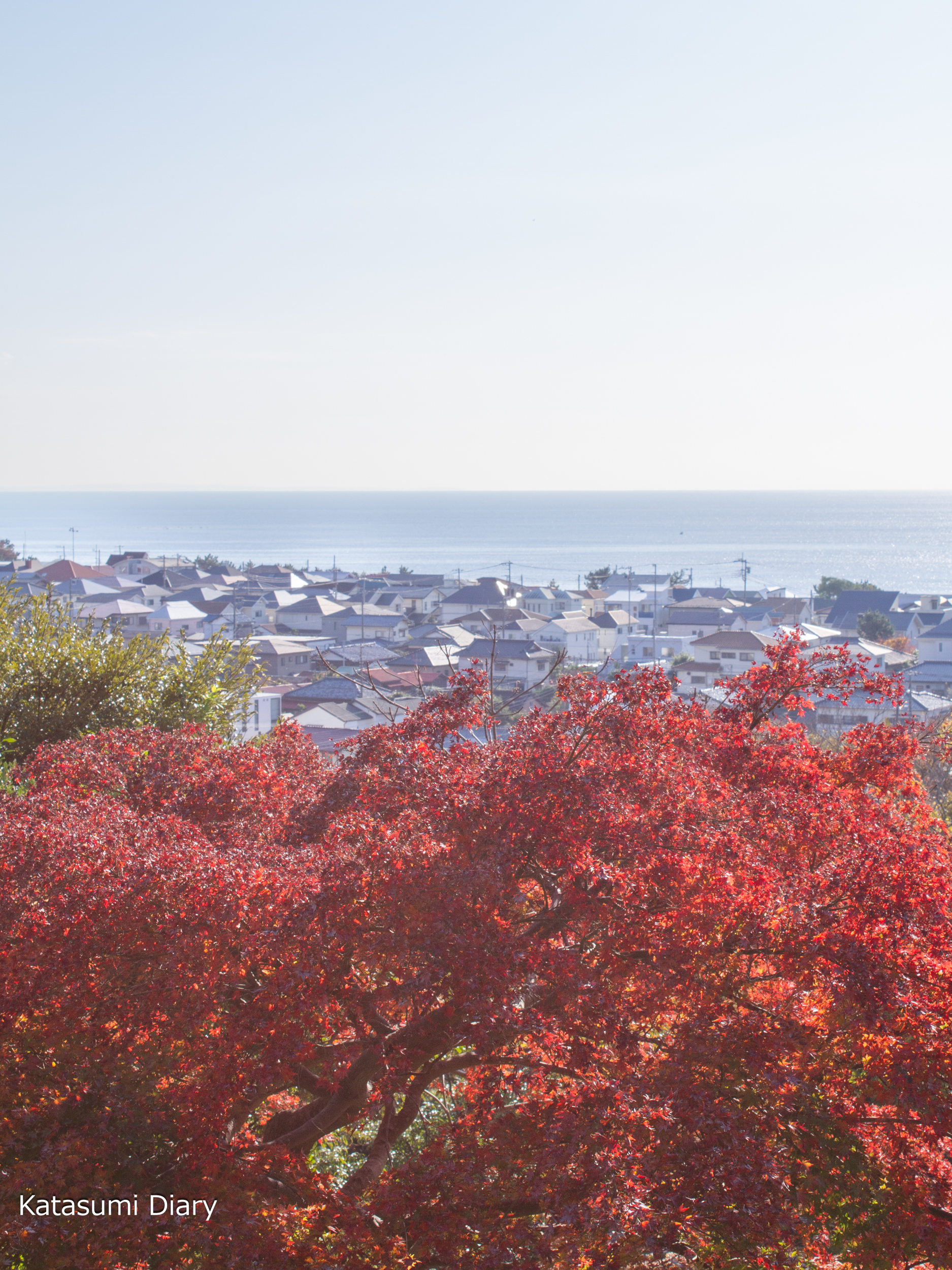 Thumbnail of post image 154