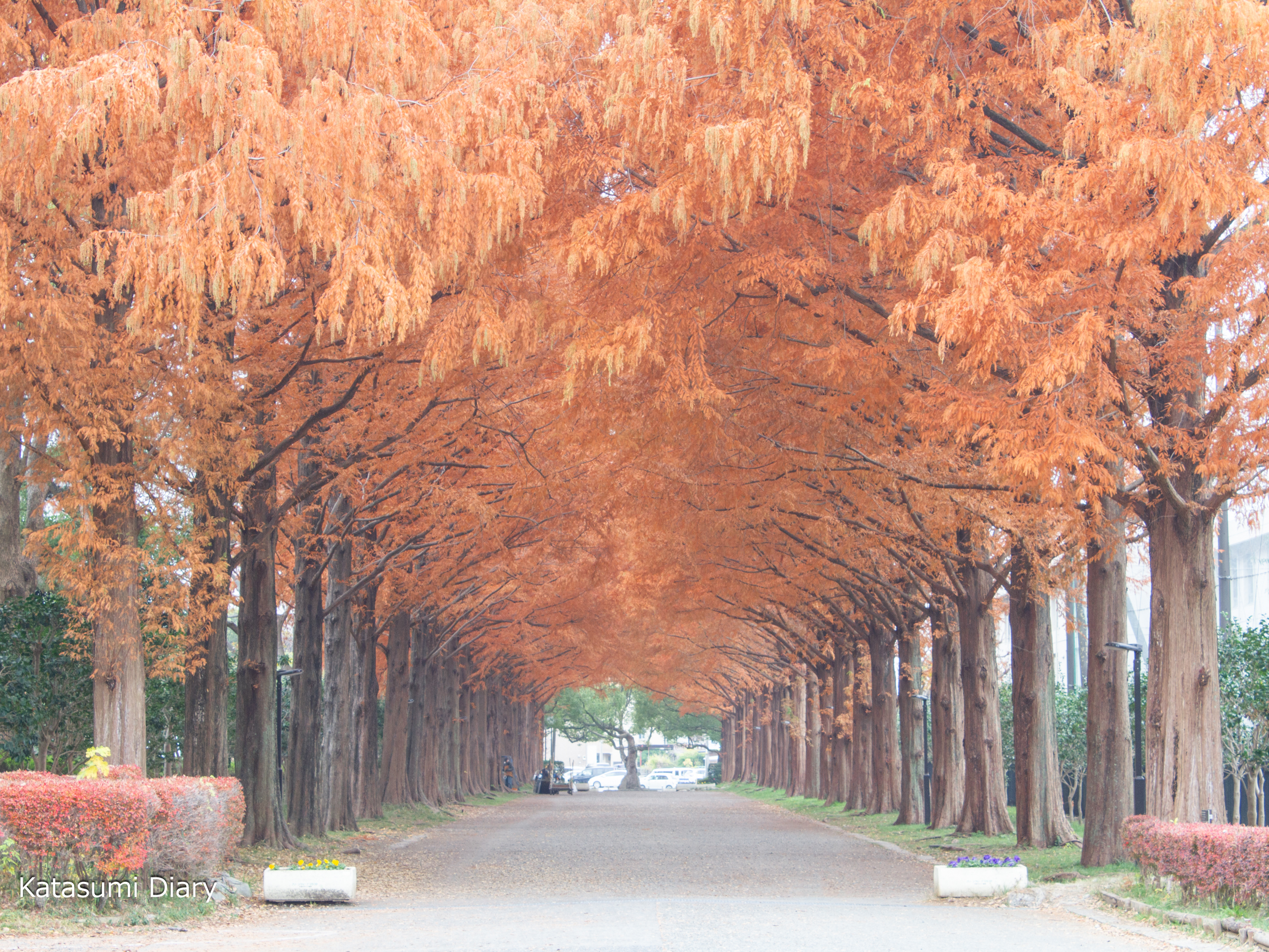 Thumbnail of post image 001