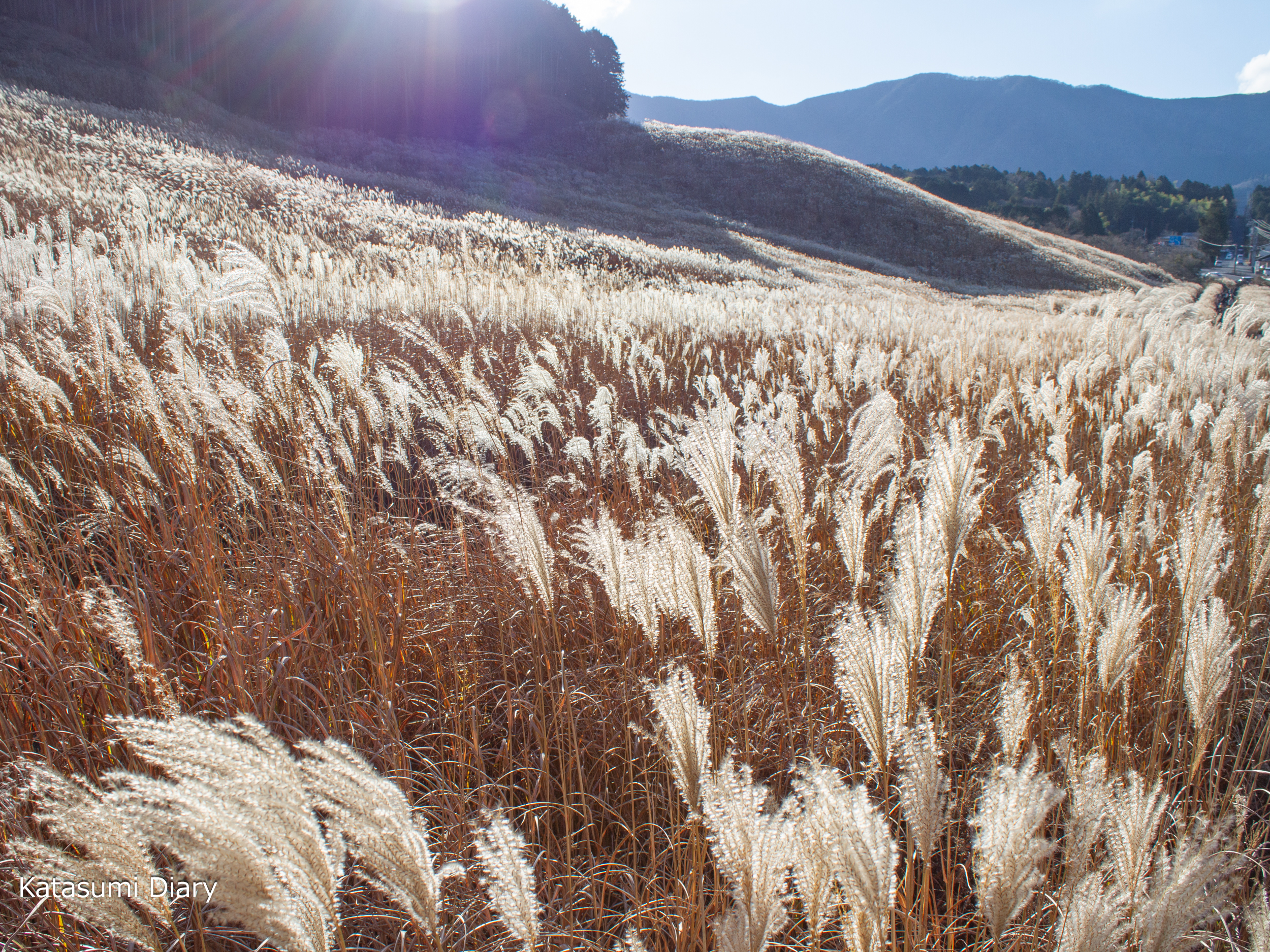 Thumbnail of post image 148