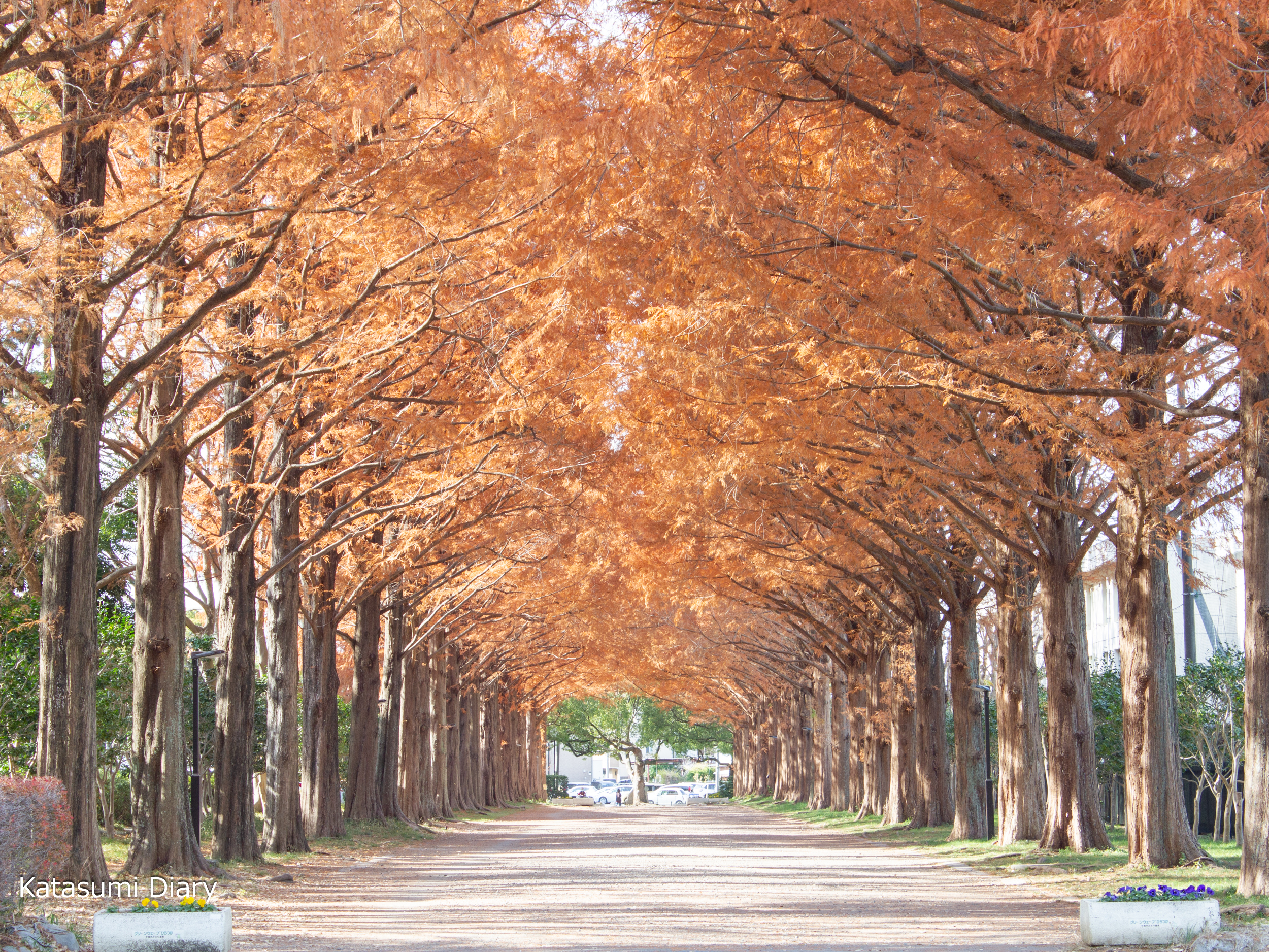 Thumbnail of post image 176