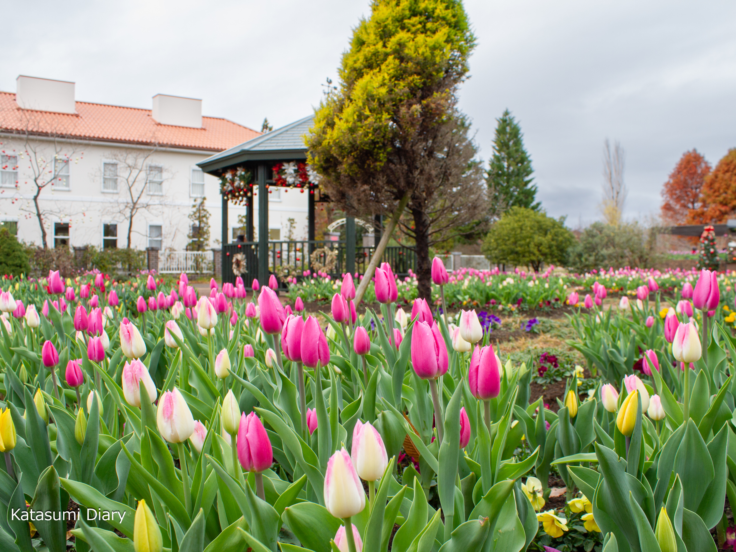 Thumbnail of post image 172