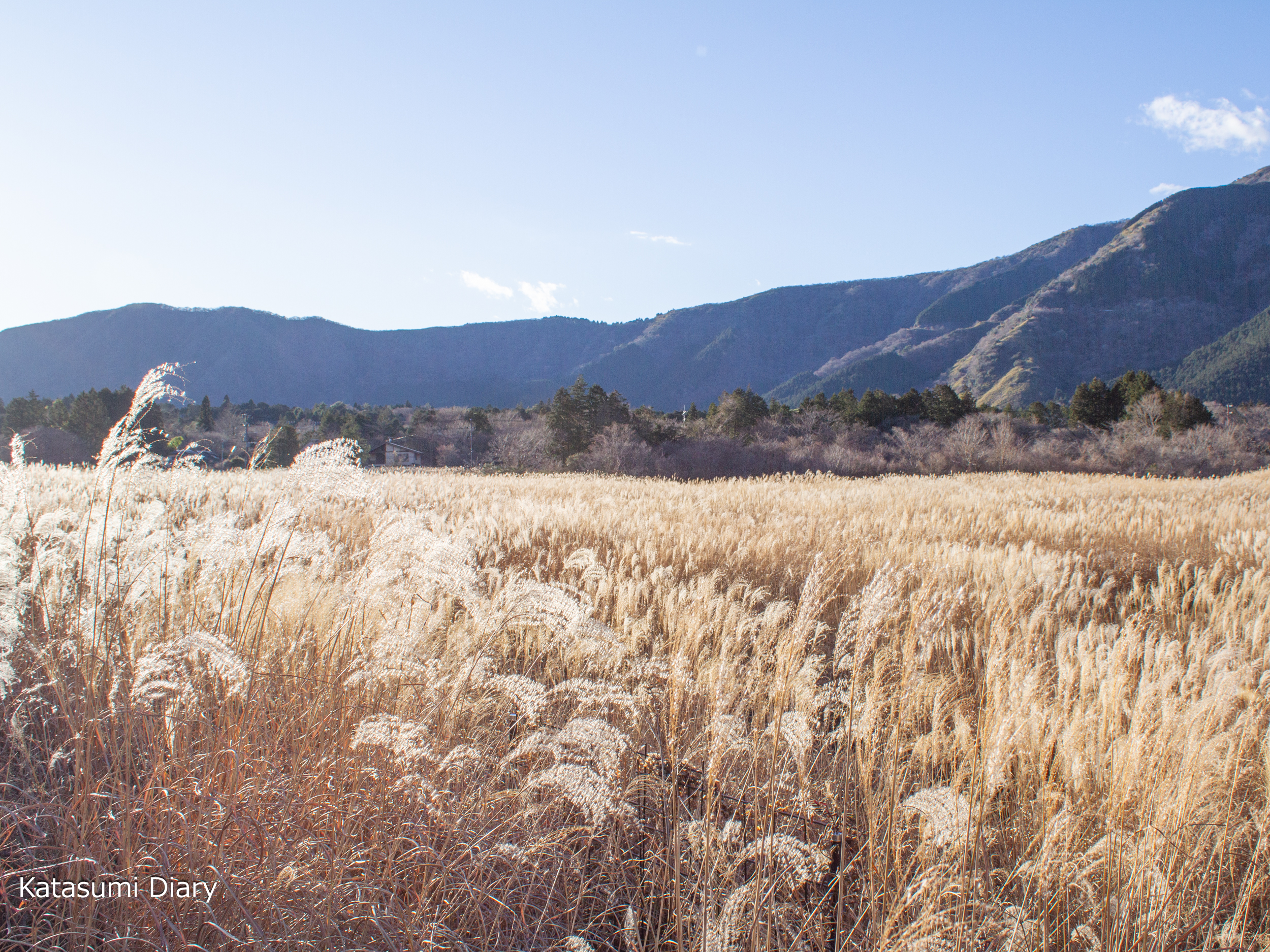 Thumbnail of post image 165