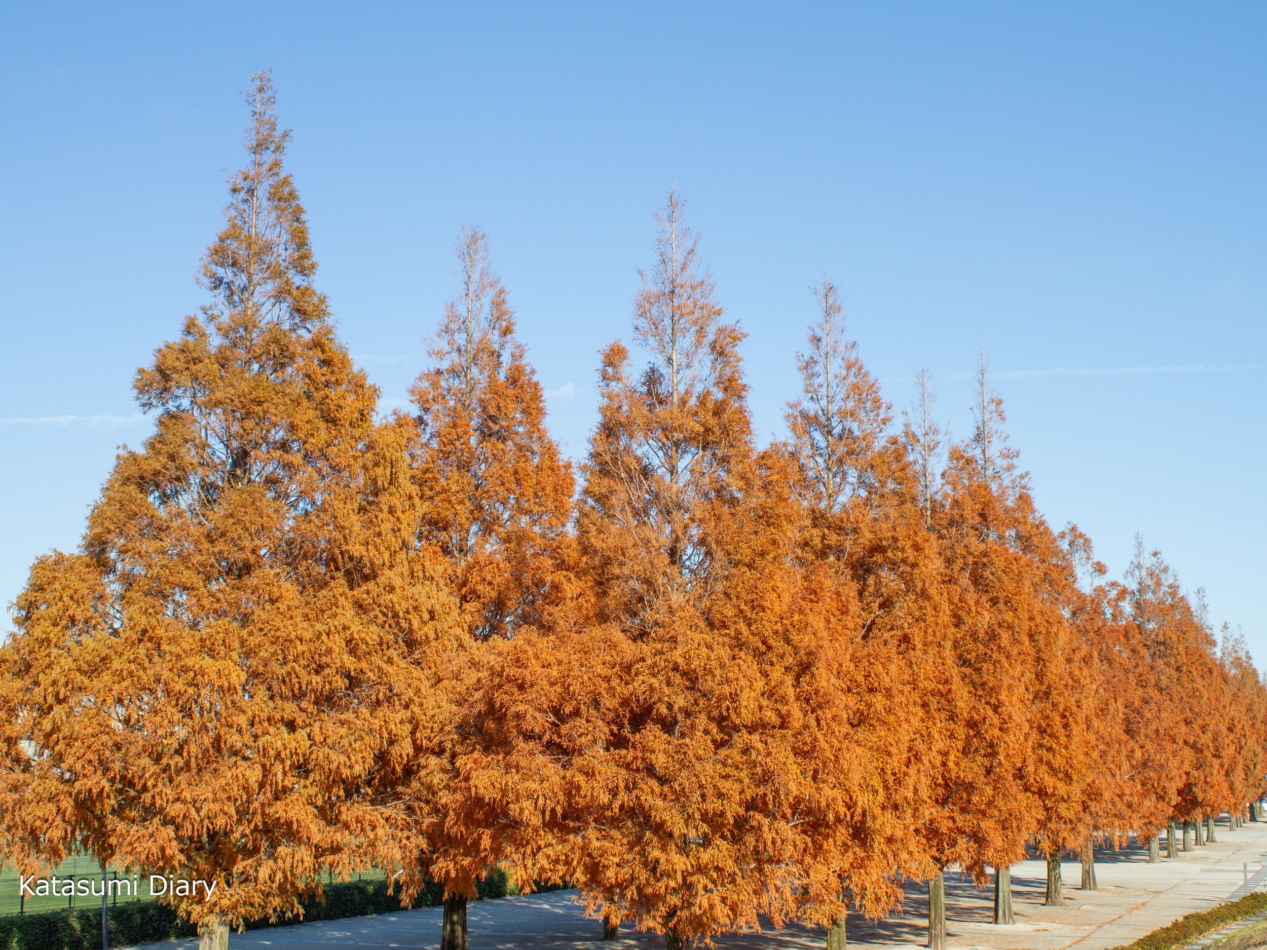 Thumbnail of post image 177