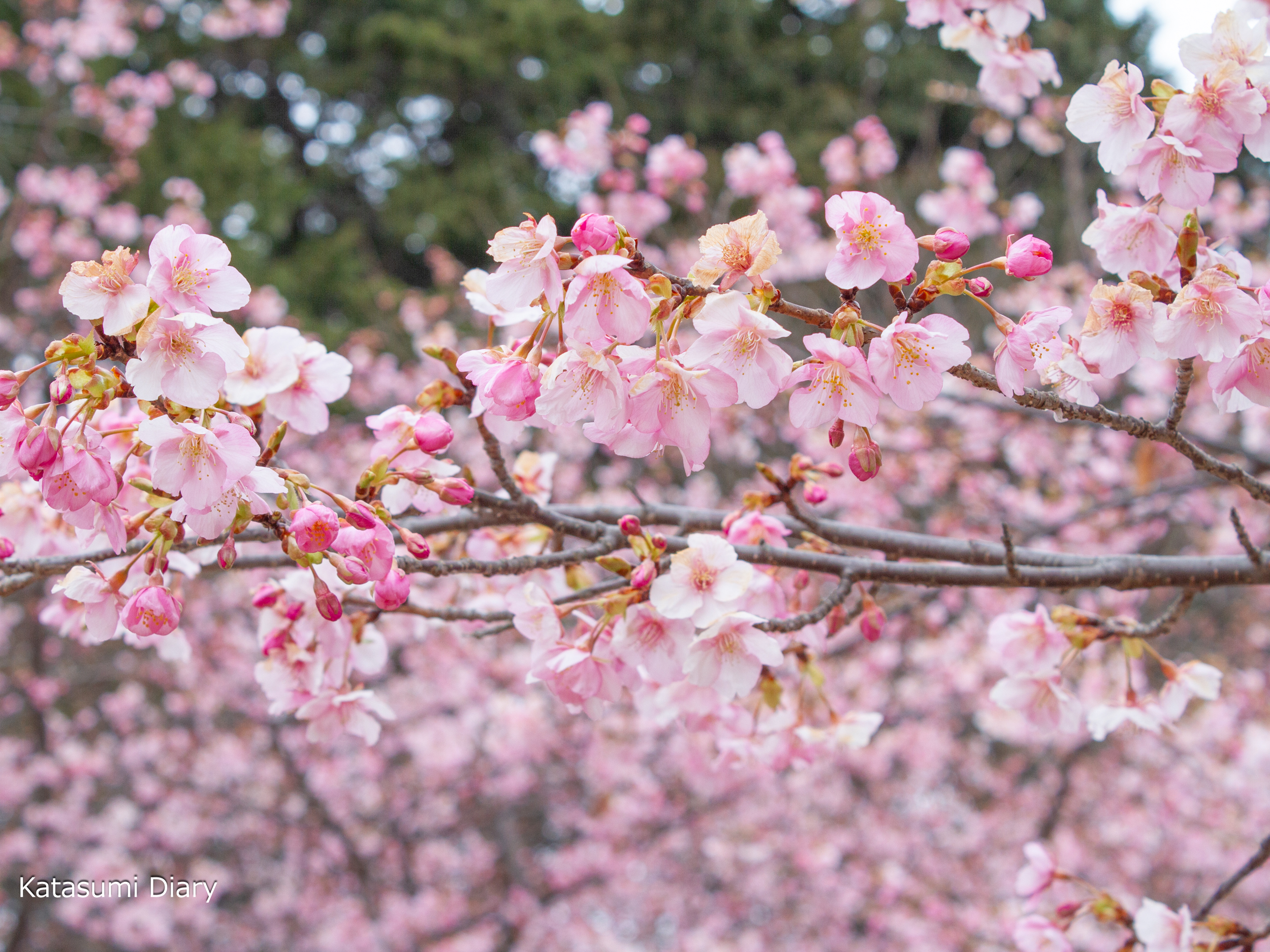 Thumbnail of post image 179