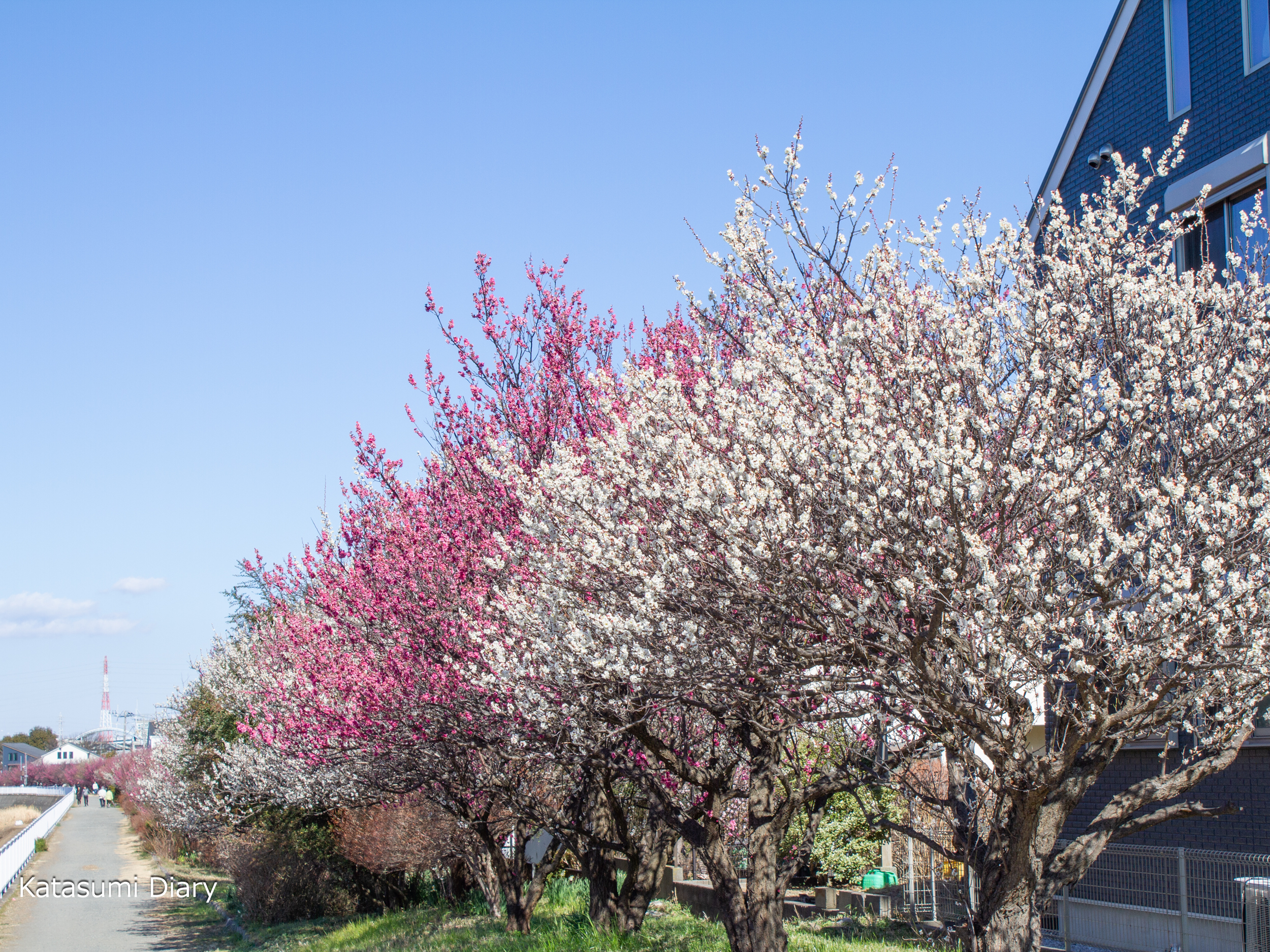 Thumbnail of post image 038