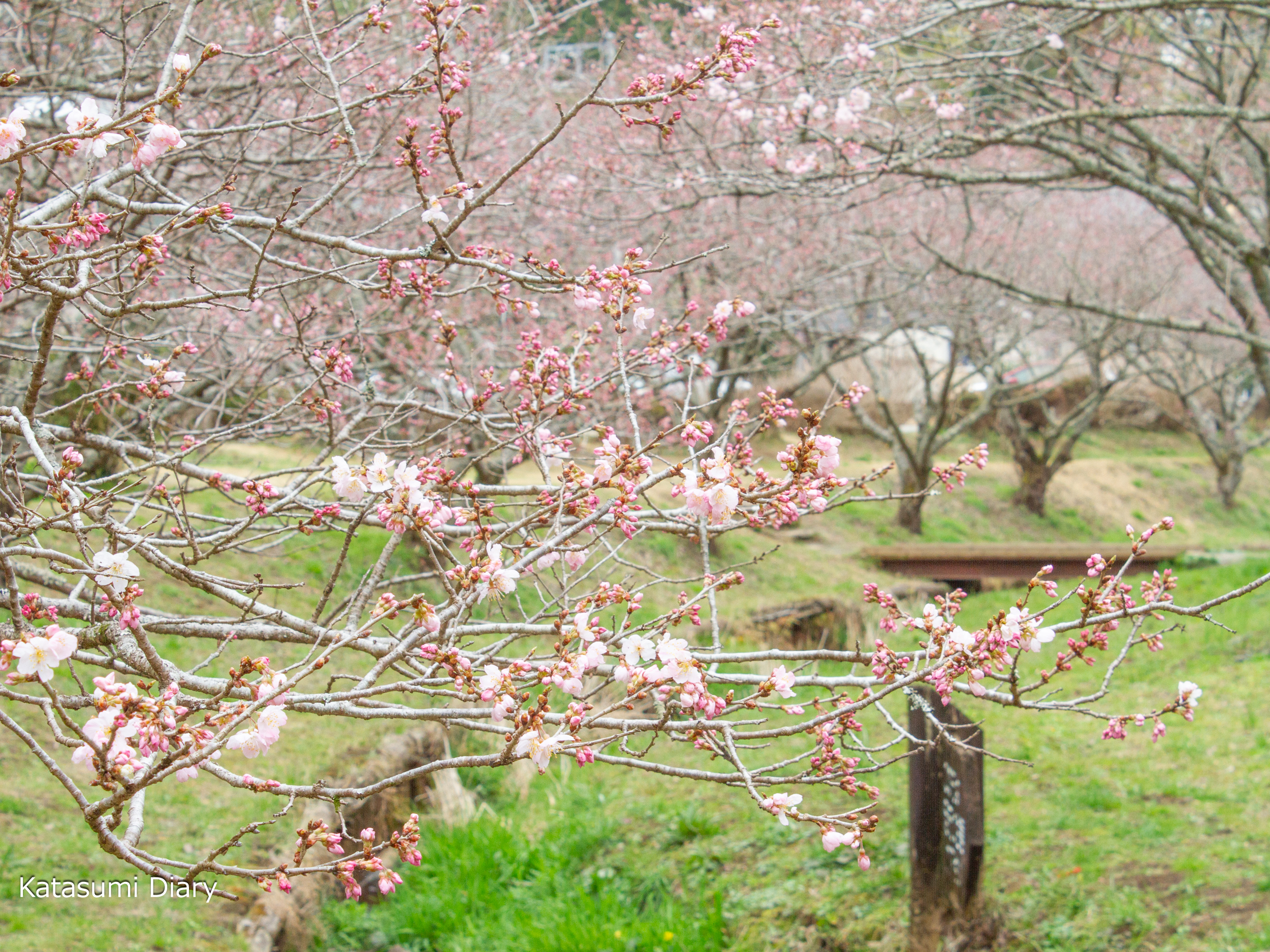 Thumbnail of post image 071