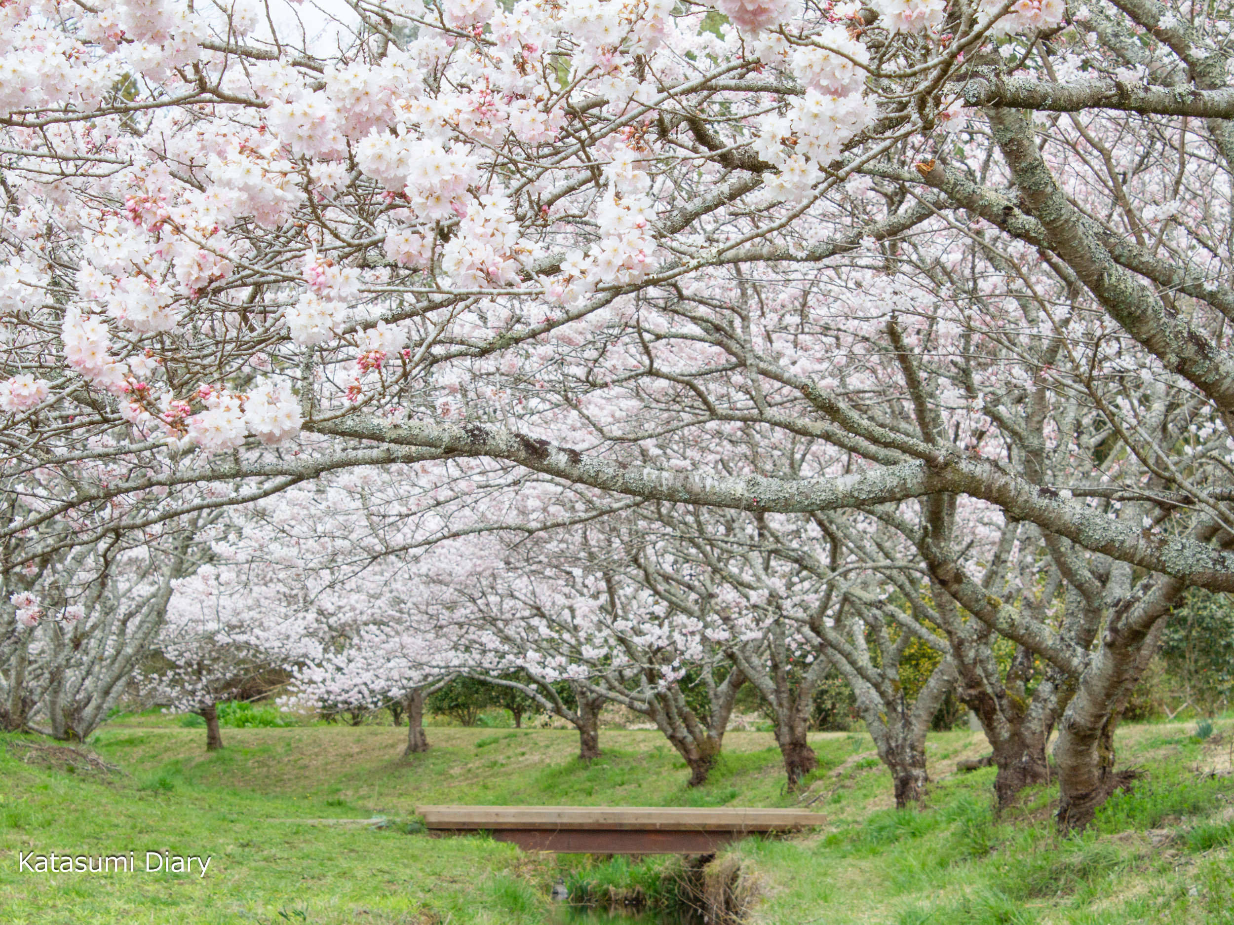 Thumbnail of post image 158