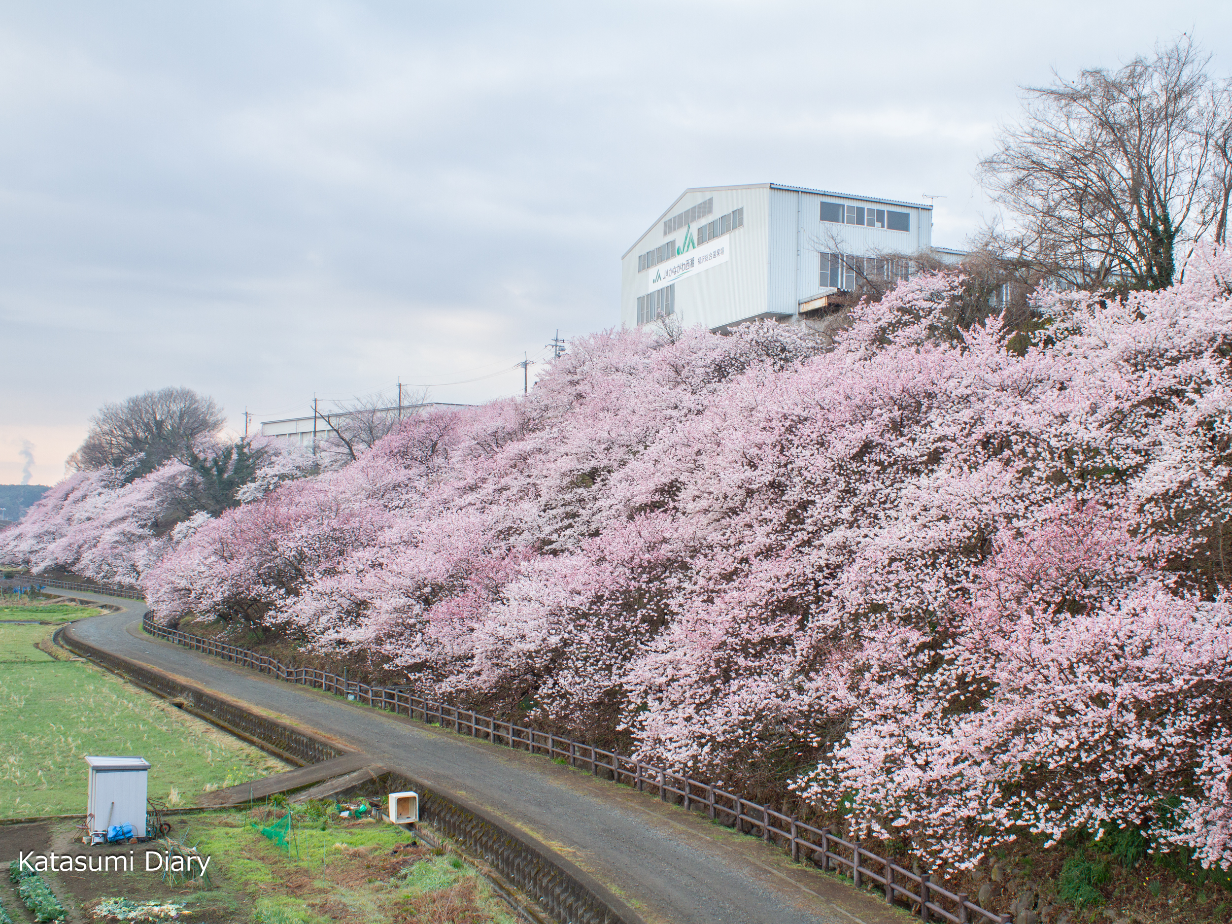 Thumbnail of post image 188