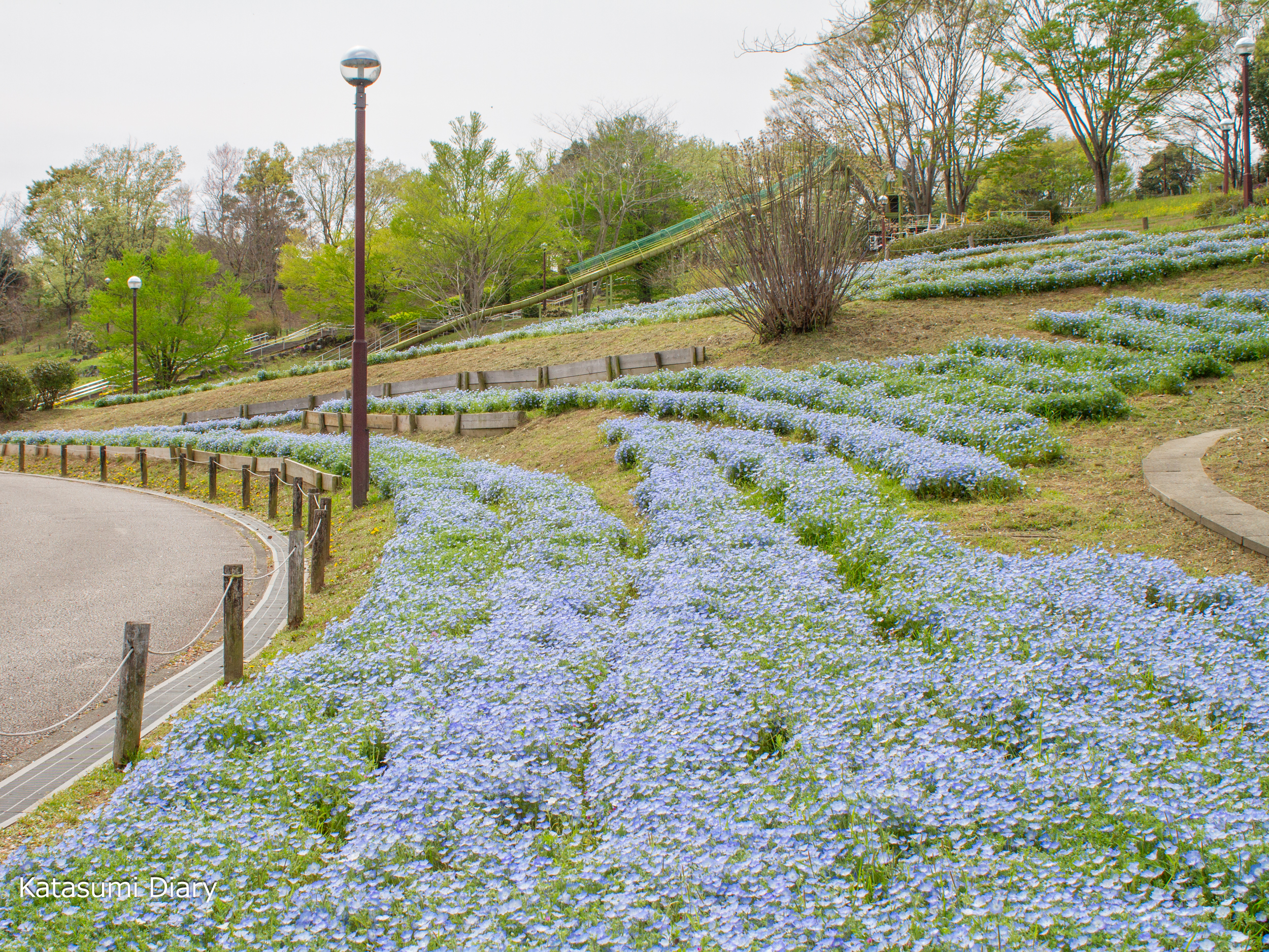 Thumbnail of post image 002