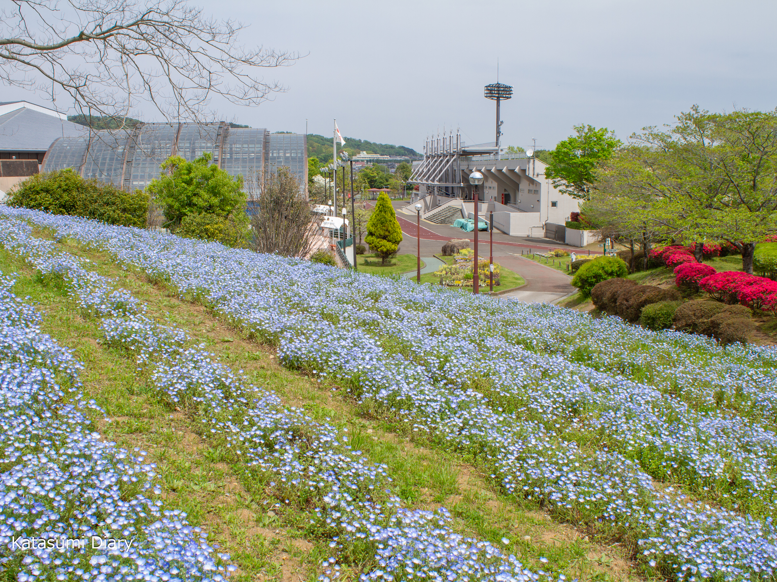 Thumbnail of post image 113