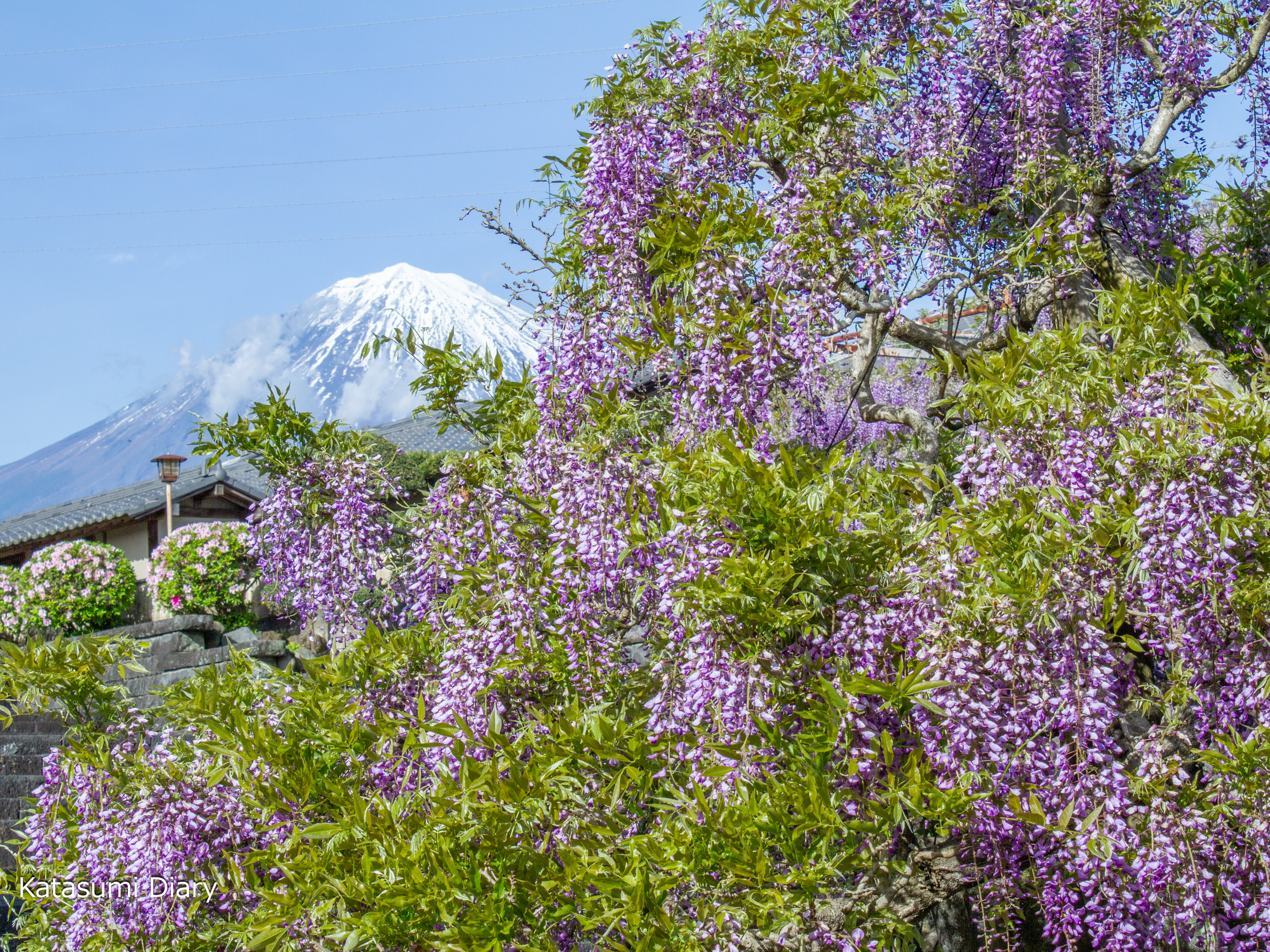 Thumbnail of post image 093